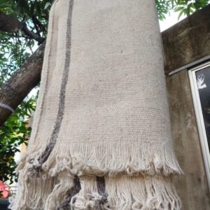 Heritage Andhra Gongadi